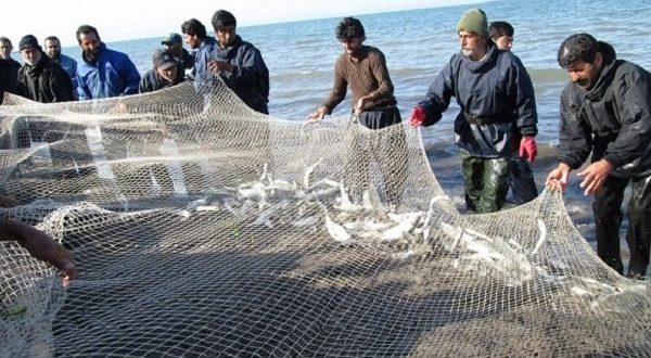 آغاز صید ماهیان استخوانی از دریای خزر/ ۴ هزار صیاد فعال هستند