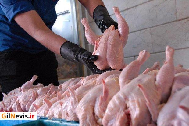 بازار سیاه برای گوشت مرغ در گیلان