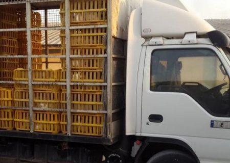 کشف بیش از ۷۴ تن مرغ زنده بدون مجوز در گیلان