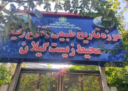 موزه تاریخ طبیعی محیط زیست؛ نمایانگر تنوع اکوسیستمی حیات وحش گیلان