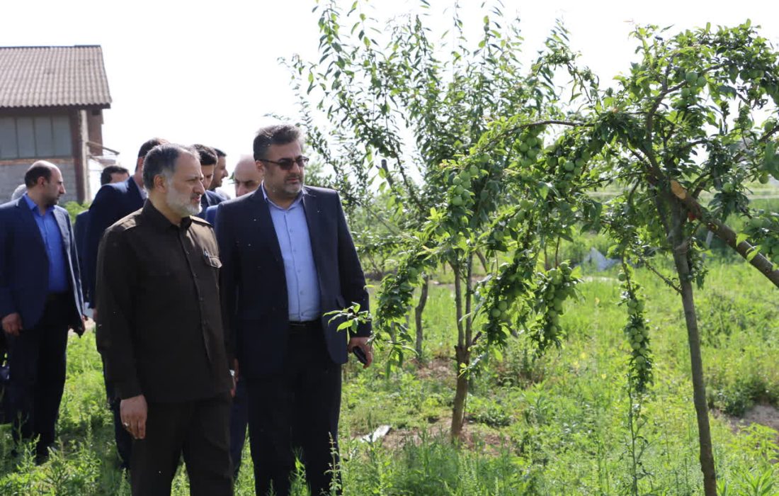 ایجاد پروژه‌های چند منظوره در مناطق مستعد گیلان ضروری است