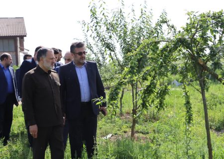 ایجاد پروژه‌های چند منظوره در مناطق مستعد گیلان ضروری است