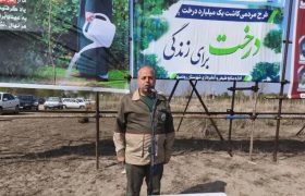 درختکاری در ۸۲ هکتار از سواحل گیلان
