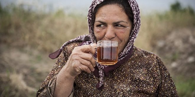 کشاورزان گیلانی برای بیمه مزارع تا پایان اردیبهشت مهلت دارند