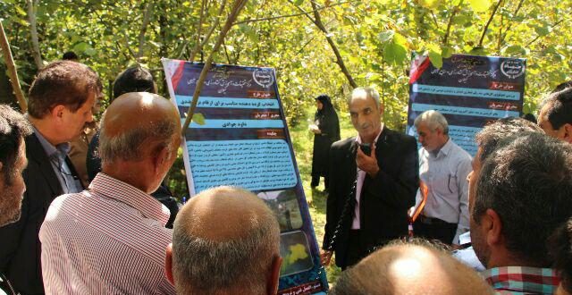 برگزاری اولین روز مزرعه فندق در ایستگاه تحقیقات کشاورزی اشکورات زیاز