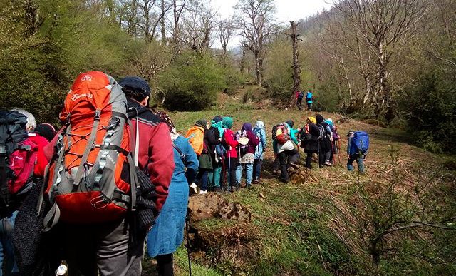 گردشگران خارجی ملزم به ارائه کارت واکسن و PCR منفی هستند