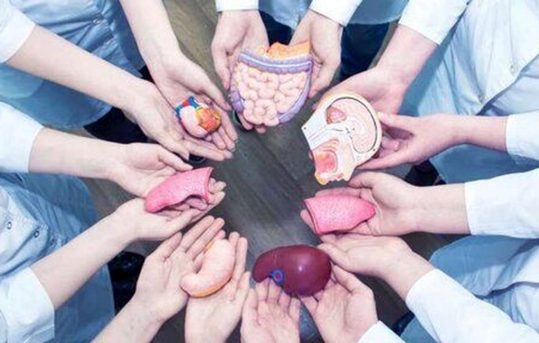 کبد بانوی فومنی به یک بیمار نیازمند پیوند شد