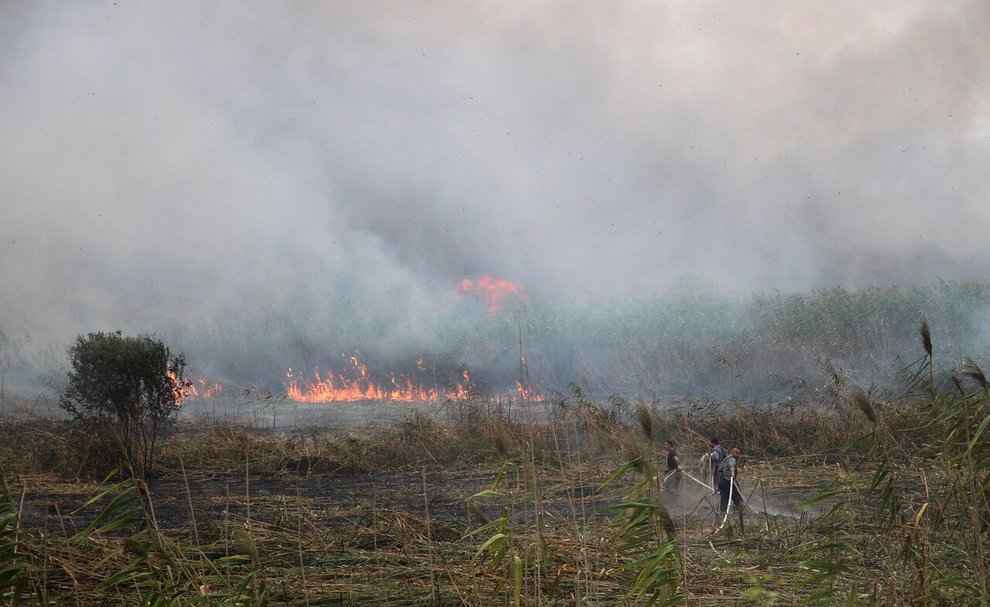 شناسایی عاملان آتش سوزی نیزارهای تالاب انزلی