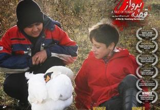 فیلمساز گیلانی در جشنواره فیلم‌های مستقل برزیل درخشید