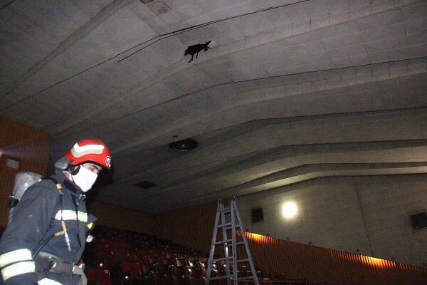 مهار آتش سوزی در سینما ۲۲ بهمن رشت