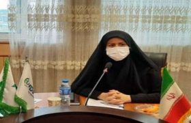 کالاهای سلامت محور قاچاق تاثیرات جبران ناپذیری بر سلامت مصرف کنندگان دارند