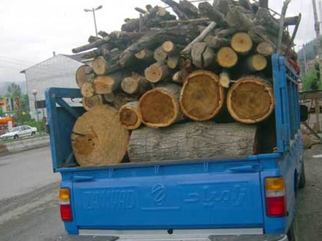 محموله ۲۵ تنی چوب قاچاق در آستارا کشف شد