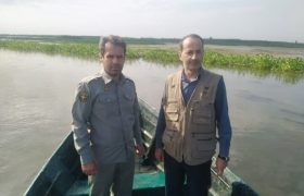 آغاز اقدامات پیشگیرانه آنفلوانزای فوق حاد پرندگان در تالاب انزلی