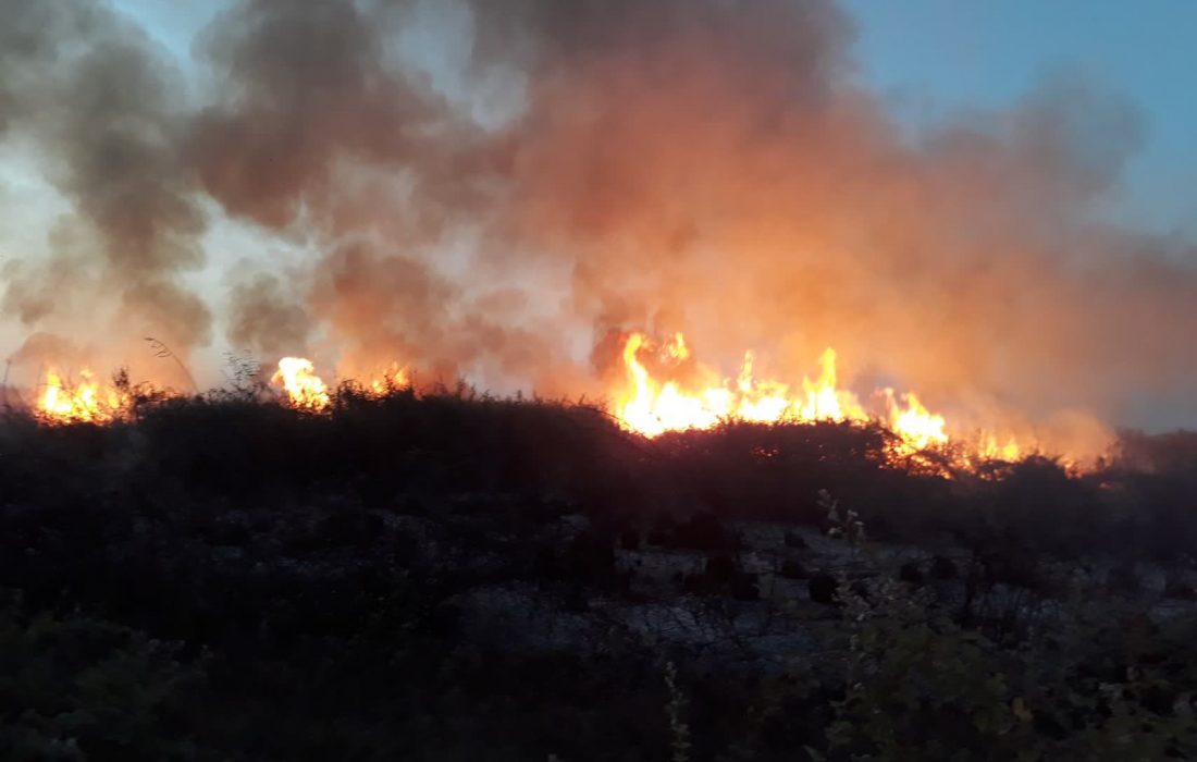 شعله‌های آتش در پارک ملی بوجاق دوباره زبانه کشید