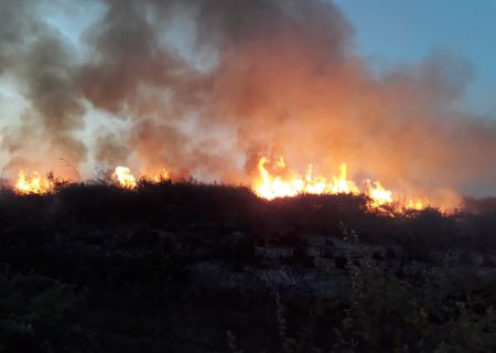 شعله‌های آتش در پارک ملی بوجاق دوباره زبانه کشید
