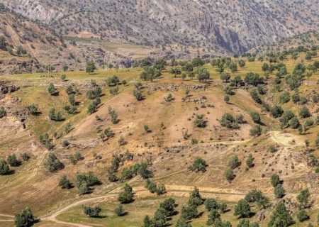 ۳۶۰۰ هکتار از جنگل‌های گیلان به قزوین پیوست شد