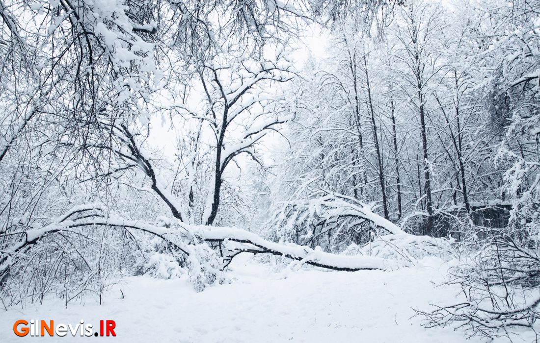 هشدار قرمز بارش برف گسترده در گیلان صادر شد