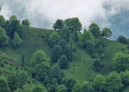 حتی یک مترمربع از جنگل های گیلان به استان های دیگر ملحق نشده است