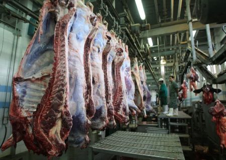 رشد تولید گوشت قرمز در گیلان