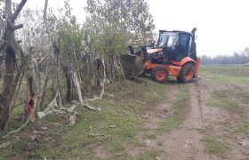 رفع تصرف ۳۵ هکتار از اراضی بستر رودخانه سفیدرود به ارزش ۷۰۰ میلیارد ریال