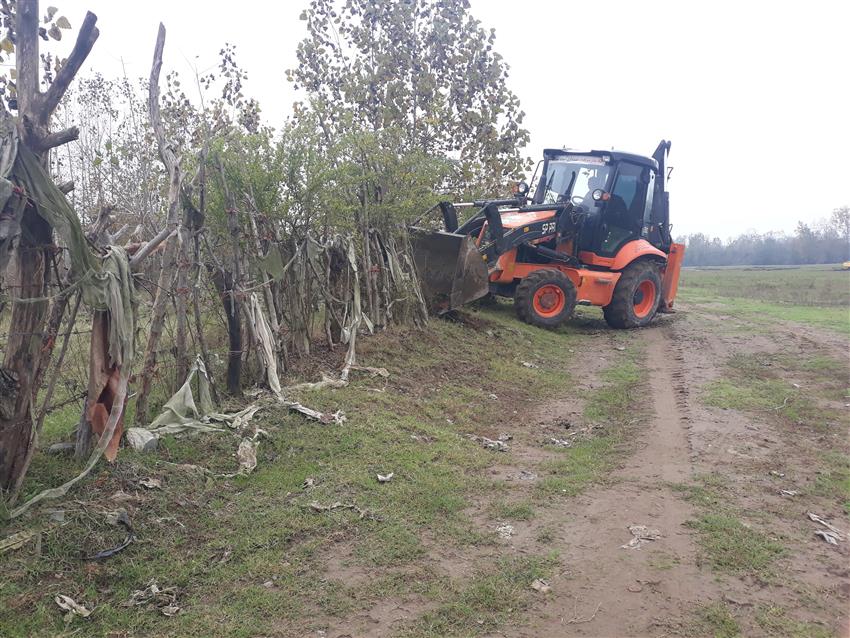 رفع تصرف ۳۵ هکتار از اراضی بستر رودخانه سفیدرود به ارزش ۷۰۰ میلیارد ریال