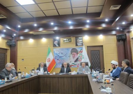 دستگاه‌های متولی با عزم ملی باید برای احیا و حفظ تالاب بین المللی انزلی اقدام کنند