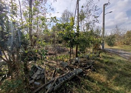 رفع تصرف یک‌هزار متر مربع از بستر رودخانه البرز در املش