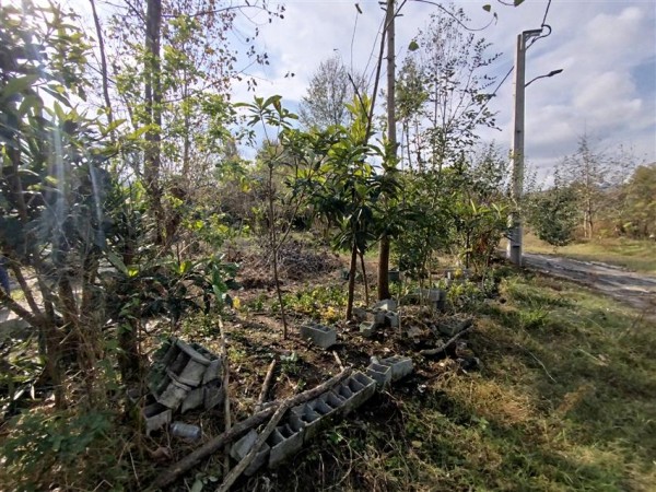 رفع تصرف یکهزار متر مربع از بستر رودخانه البرز در املش