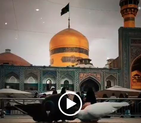 چهارشنبه‌های امام رضایی (علیه‌السلام) – ۲۲