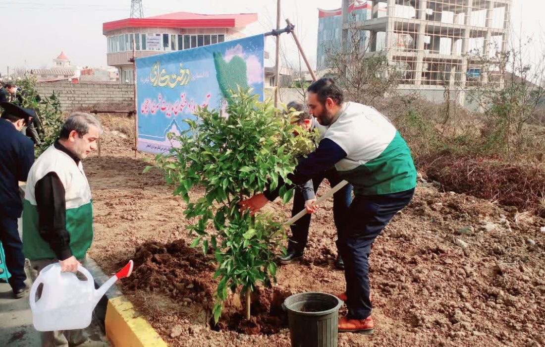 کاشت بیش از ۱۰۰۰ اصله نهال توسط خادمیاران رضوی در گیلان