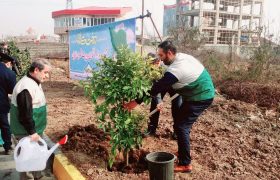 کاشت بیش از ۱۰۰۰ اصله نهال توسط خادمیاران رضوی در گیلان