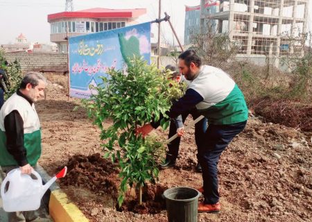 کاشت بیش از ۱۰۰۰ اصله نهال توسط خادمیاران رضوی در گیلان