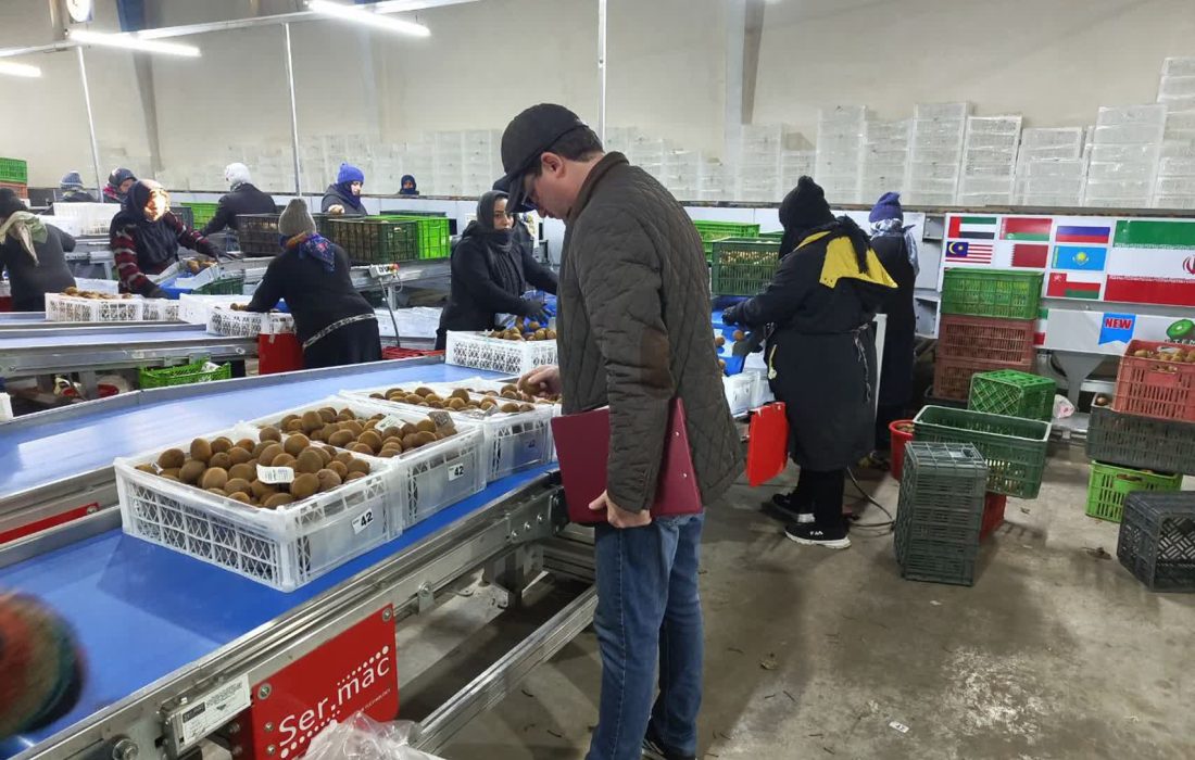 رونق فعالیت کلینیک گیاهپزشکی دانشگاه آزاد اسلامی استان گیلان در ایام نوروز