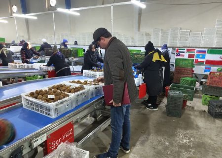 رونق فعالیت‌ کلینیک گیاهپزشکی دانشگاه آزاد اسلامی استان گیلان در ایام نوروز