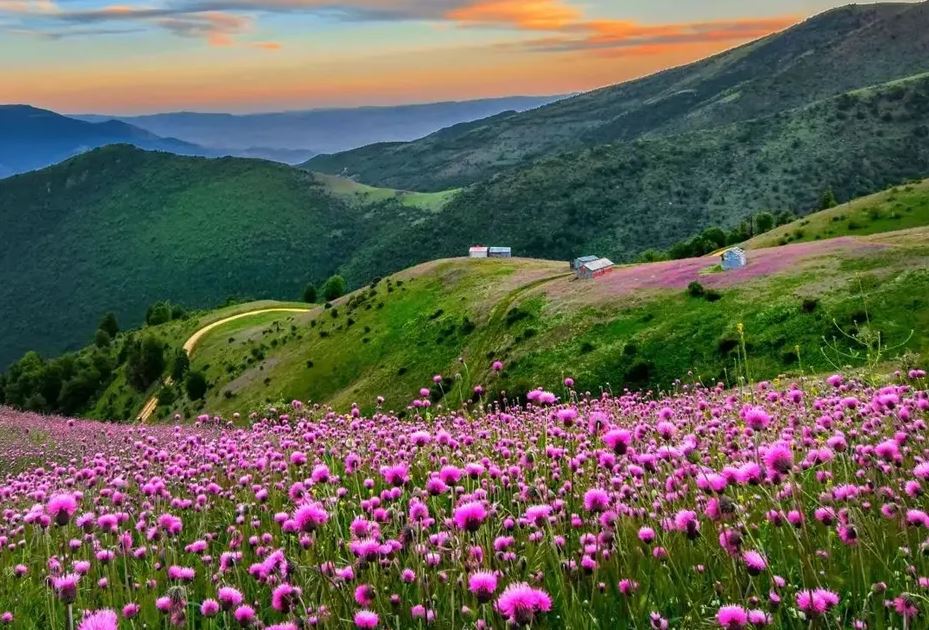 گردشگری ییلاقی؛ فرصتی طلایی برای اشتغال پایدار در روستاهای گیلان