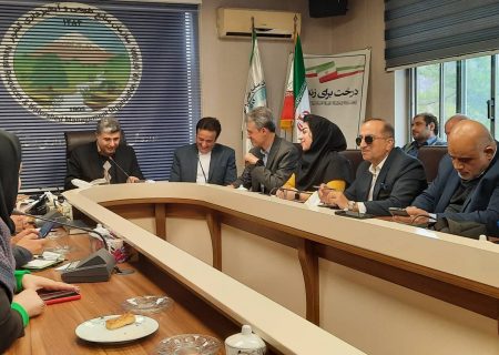 واگذاری ۵۰ هکتار از اراضی ملی در استان گیلان جهت اجرای پروژه تولید انرژی های نو