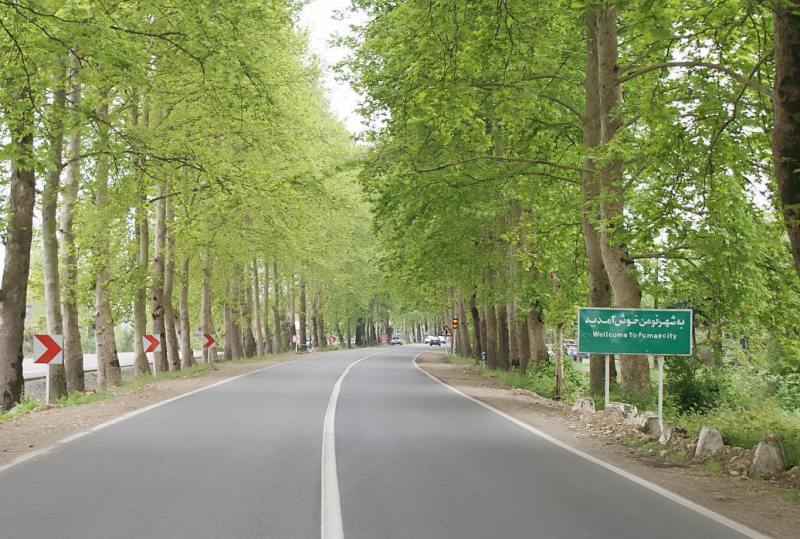 سرنوشت نامعلوم چناران دلربا در مسیر گردشگری فومن/ نظارت و بررسی پروژه تونل سبز فومن بر عهده دستگاه قضایی است