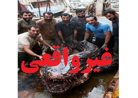 شیلات گیلان خبر صید ماهی عظیم الخلقه در بندر انزلی را تکذیب کرد