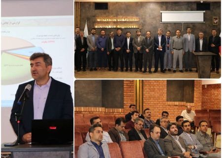 مشکل ناترازی صنعت برق با برنامه ریزی دقیق و علمی قابل حل است/ همراهی دانشگاه با صنعت برق موجب تسریع در حل مشکلات می‌شود