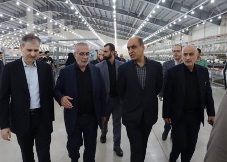 حمایت‌های دولت چرخ ریسندگی در گیلان را به حرکت در می‌آورد