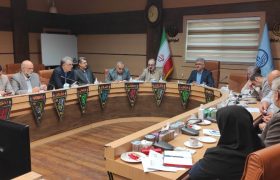 تولد ۵۵۸ نوزاد گیلانی در جنگ تحمیلی رژیم صهیونیستی علیه ایران