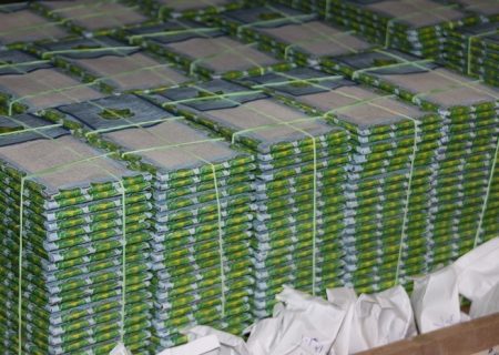 توزیع رایگان تخم نوغان بین مددجویان کمیته امداد گیلان