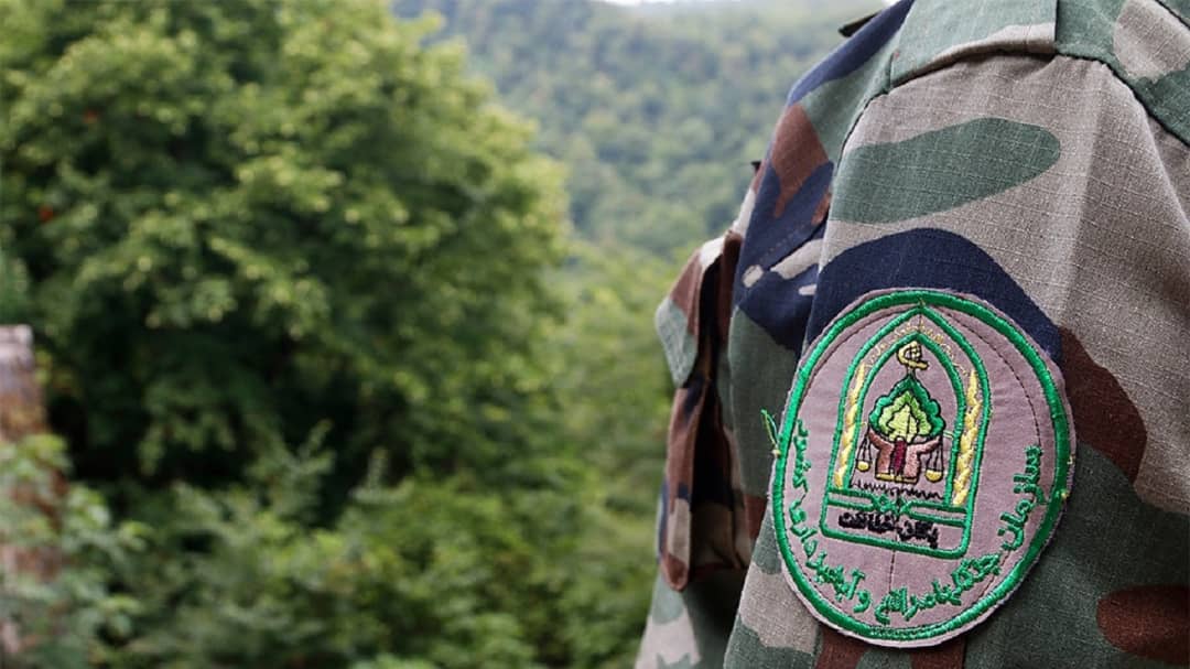 حمله مسلحانه قاچاقچیان چوب به جنگلبانان تالش / یک مأمور به‌شدت مجروح شد