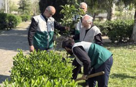کاشت ۸۸ اصله نهال مثمر در رشت به یاد رهبر شهید