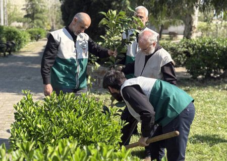 کاشت ۸۸ اصله نهال مثمر در رشت به یاد رهبر شهید