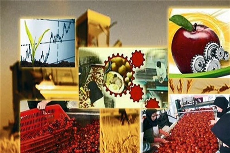 بهره‌برداری از ۵ طرح صنایع تبدیلی کشاورزی گیلان با حمایت تسهیلاتی
