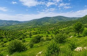 بازگشت ۲۰۴ هکتار از اراضی ملی گیلان به طبیعت در ۵ ماهه سال جاری
