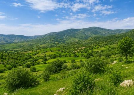 بازگشت ۲۰۴ هکتار از اراضی ملی گیلان به طبیعت در ۵ ماهه سال جاری