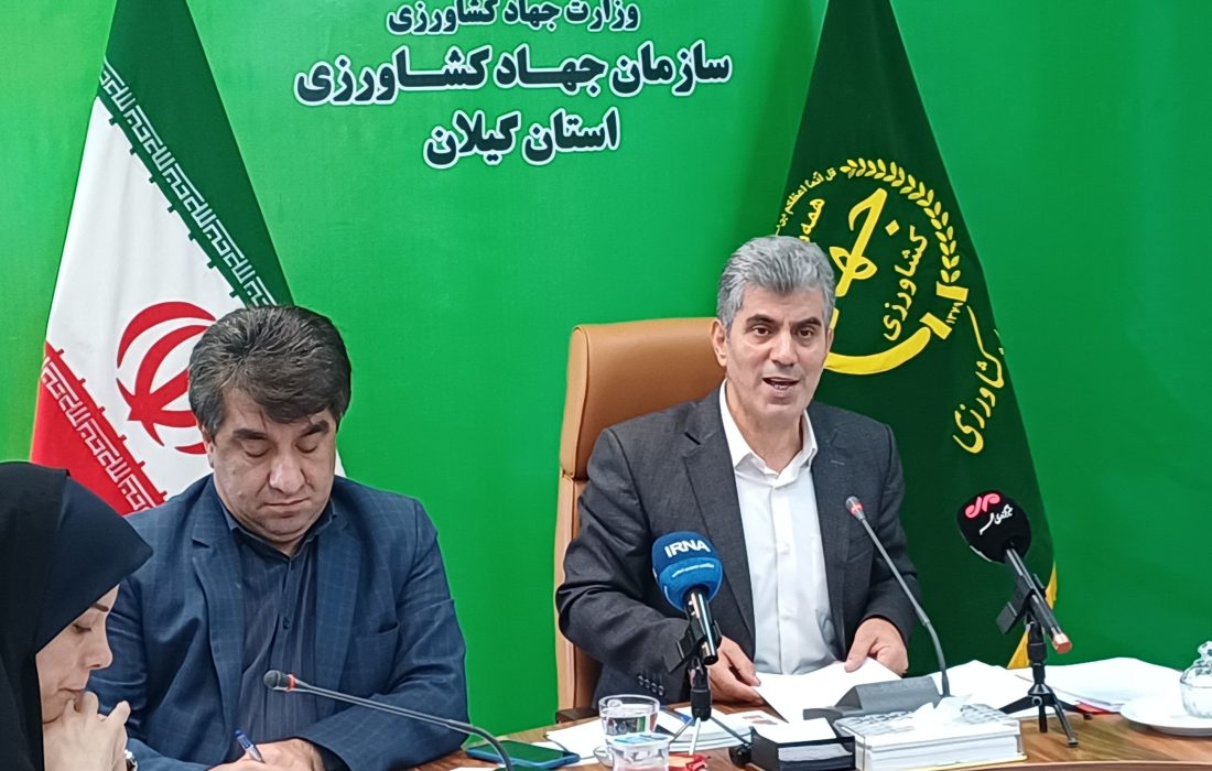 پیش‌بینی برداشت یک میلیون و ۱۵۰ هزار تن شلتوک از شالیزارهای گیلان